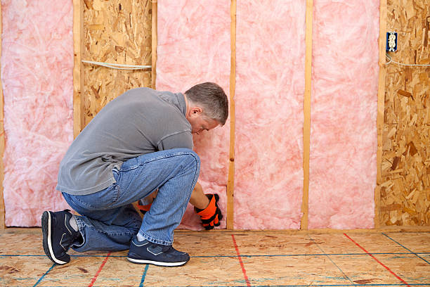 Best Wall Insulation Installation  in USA